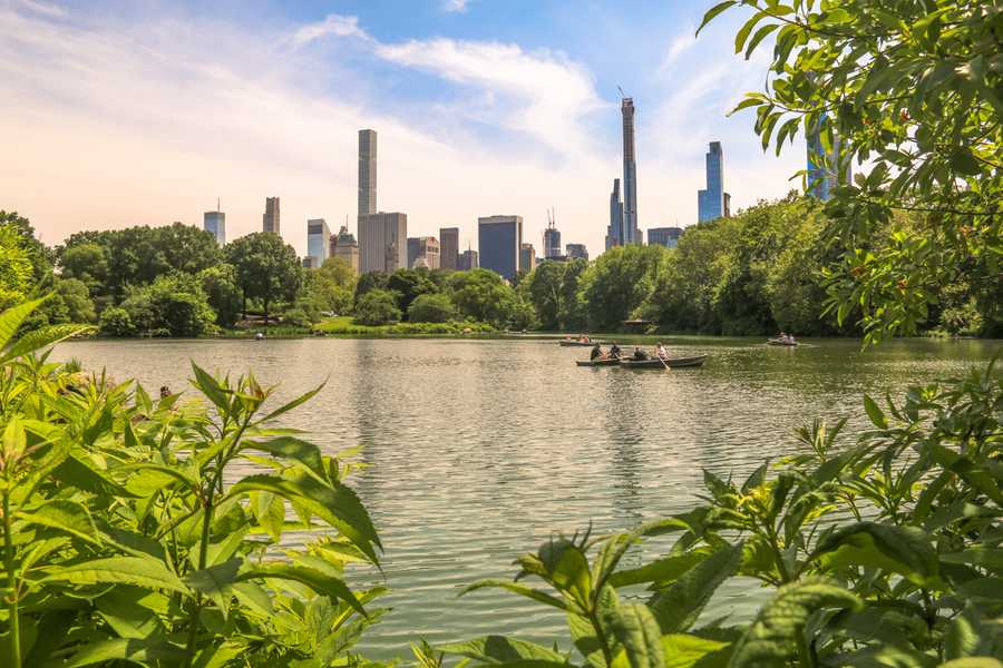 The boating lake at Central Park with trees and skyscrapers in the background.